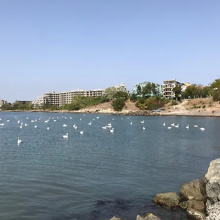 דירה Europe Holiday Apartments First Sea Line Coast